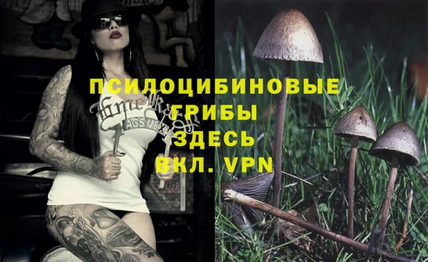 твердый Магадан